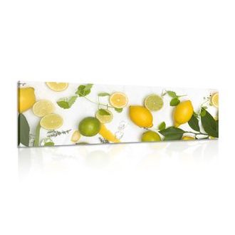 OBRAZ SMĚS CITRUSOVÝCH PLODŮ - OBRAZY JÍDLA A NÁPOJE - OBRAZY