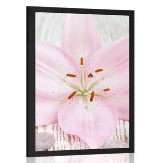 POSTER PINK LILY AND ZEN STONES - FENG SHUI - POSTERS