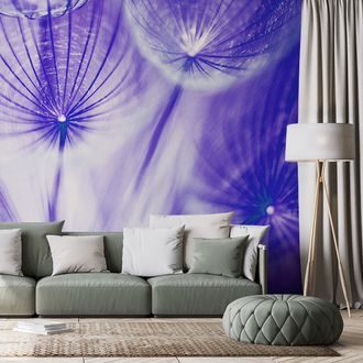 SELF ADHESIVE WALLPAPER UNUSUAL PURPLE DANDELION - SELF-ADHESIVE WALLPAPERS - WALLPAPERS