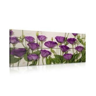 CANVAS PRINT BEAUTIFUL PURPLE FLOWERS - PICTURES FLOWERS - PICTURES