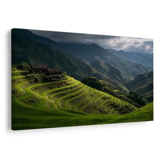 WANDBILD GRÜNE REISTERRASSEN - WANDBILDER FELDER UND WIESEN - BILDER