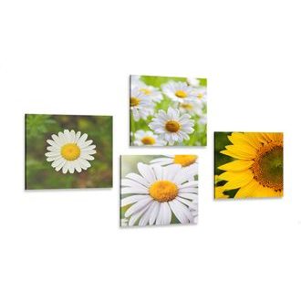 CANVAS PRINT SET MEADOW FLOWERS - SET OF PICTURES - PICTURES
