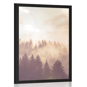 AFFICHE BROUILLARD AU-DESSUS DE LA FORÊT - NATURE - AFFICHES