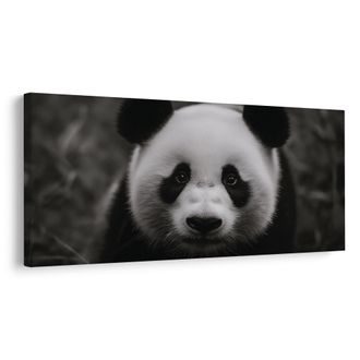 WANDBILD LÄCHELNDER SCHWARZ-WEISSER PANDA - BILDER TIERE - BILDER
