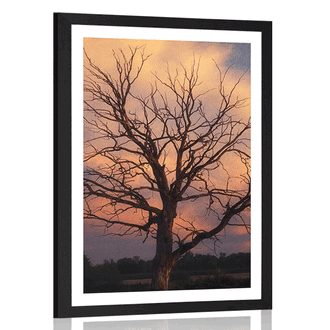 POSTER MIT PASSEPARTOUT BAUM AUF DER WIESE - NATUR - POSTER