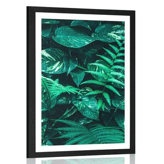 Poster cu passepartout frunze tropicale proaspete