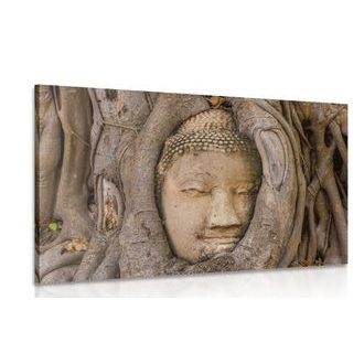 CANVAS PRINT BUDDHA'S SACRED FIG TREE - PICTURES FENG SHUI - PICTURES