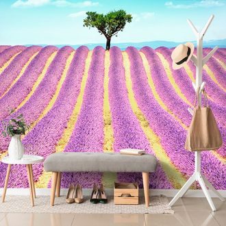 SELF ADHESIVE WALL MURAL PROVENÇAL LAVENDER FIELD - SELF-ADHESIVE WALLPAPERS - WALLPAPERS