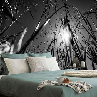 WALL MURAL BLACK AND WHITE FIELD GRASS - BLACK AND WHITE WALLPAPERS - WALLPAPERS