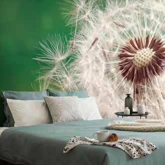 WALL MURAL BEAUTIFUL DETAIL OF A DANDELION - WALLPAPERS FLOWERS - WALLPAPERS