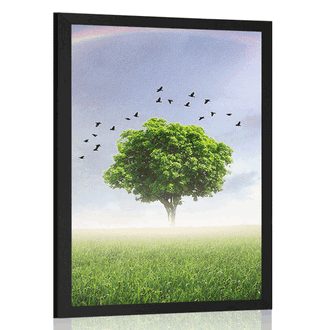 POSTER LONELY TREE ON THE MEADOW - NATURE - POSTERS