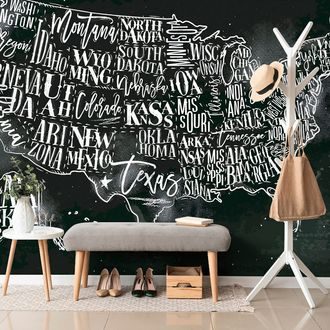 SAMOLEPÍCÍ TAPETA NAUČNÁ MAPA USA S JEDNOTLIVÝMI STÁTY - SAMOLEPÍCÍ TAPETY - TAPETY
