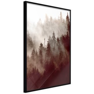 Plakát mlha nad lesem - Forest Fog