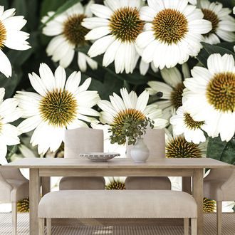 WALL MURAL MEDICINAL CHAMOMILE FLOWERS - WALLPAPERS FLOWERS - WALLPAPERS