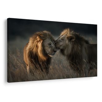 OBRAZ LVI V AFRICKÉ SAVANĚ - OBRAZY LVI A TYGŘI - OBRAZY