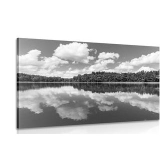 OBRAZ PŘÍRODA V LETNÍM OBDOBÍ V ČERNOBÍLÉM PROVEDENÍ - ČERNOBÍLÉ OBRAZY - OBRAZY