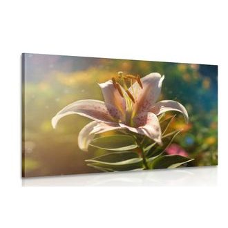 ΕΙΚΌΝΑ ΌΜΟΡΦΟ ΛΟΥΛΟΎΔΙ ΜΕ ΡΕΤΡΌ ΧΡΟΙΆ - ΠΊΝΑΚΕΣ ΑΠΌ ΛΟΥΛΟΎΔΙΑ - ΠΊΝΑΚΕΣ