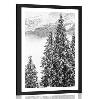 POSTER MIT PASSEPARTOUT SCHNEEBEDECKTE KIEFERN IN SCHWARZ-WEISS - SCHWARZ-WEISS - POSTER