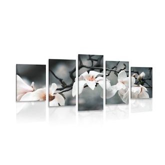 ΕΙΚΌΝΑ 5 ΜΕΡΏΝ ΠΟΥ ΞΥΠΝΆ ΤΗ ΜΑΝΌΛΙΑ - ΠΊΝΑΚΕΣ ΑΠΌ ΛΟΥΛΟΎΔΙΑ - ΠΊΝΑΚΕΣ