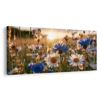 OBRAZ LETNÍ LOUKA VE ZLATÉM SVĚTLE - PICTURES FLOWERS - PICTURES