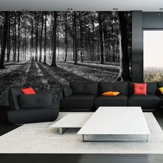 Self adhesive wallpaper black & white forest