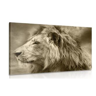 Wandbild Afrikanischer Löwe in Sepia