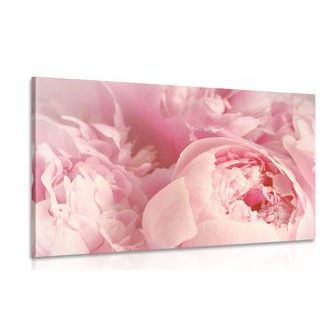 ΕΙΚΌΝΑ ΑΠΌ ΠΈΤΑΛΑ ΛΟΥΛΟΥΔΙΏΝ - ΠΊΝΑΚΕΣ ΑΠΌ ΛΟΥΛΟΎΔΙΑ - ΠΊΝΑΚΕΣ