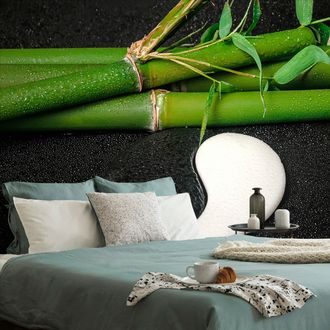 PAPIER PEINT PANORAMIQUE – PIERRES EN FORME DE YIN ET YANG - PAPIERS PEINTS FENG SHUI - PAPIERS PEINTS PANORAMIQUES