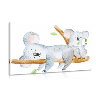OBRAZ ROZTOMILÉ KOALY - DĚTSKÉ OBRAZY - OBRAZY