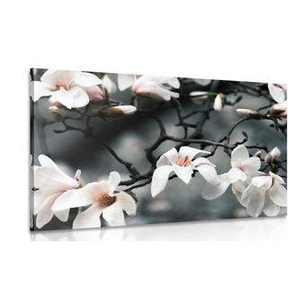 ΕΙΚΌΝΑ ΜΙΑΣ ΞΎΠΝΙΑΣ ΜΑΝΌΛΙΑΣ - ΠΊΝΑΚΕΣ ΑΠΌ ΛΟΥΛΟΎΔΙΑ - ΠΊΝΑΚΕΣ