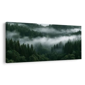 OBRAZ ZELENÉ ÚDOLÍ ZAHALENÉ MLHOU - PICTURES FOREST - PICTURES