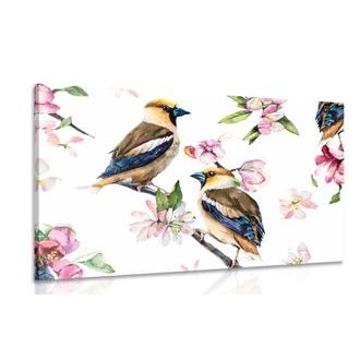 ΕΙΚΌΝΑ ΠΟΥΛΙΏΝ ΣΕ ΚΛΑΔΊ ΔΈΝΤΡΟΥ - ΠΊΝΑΚΕΣ VINTAGE ΈΝΑ ΡΕΤΡΌ - ΠΊΝΑΚΕΣ