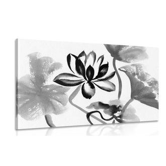 OBRAZ AKVARELOVÝ LOTOSOVÝ KVĚT V ČERNOBÍLÉM PROVEDENÍ - ČERNOBÍLÉ OBRAZY - OBRAZY