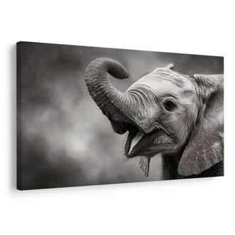 TABLOU PUI DE ELEFANT ÎN ALB-NEGRU - TABLOURI CU ELEFANȚI - TABLOURI