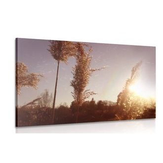 OBRAZ ATMOSFÉRA PODZIMU - OBRAZY VÝCHOD A ZÁPAD SLUNCE - OBRAZY