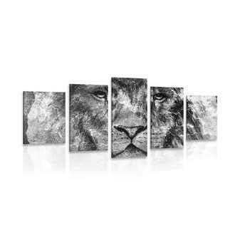 5 part picture of a lion in black & white