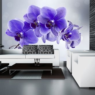 SELF ADHESIVE WALLPAPER PURPLE ORCHID - WALLPAPERS