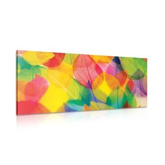 OBRAZ LISTY V PODZIMNÍCH BARVÁCH - OBRAZY PŘÍRODY A KRAJINY - OBRAZY