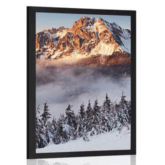 POSTER RIESENGEBIRGE - NATUR - POSTER