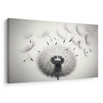 OBRAZ ČERNOBÍLÁ PAMPELIŠKA - OBRAZY PAMPELIŠKA - OBRAZY