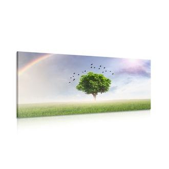 WANDBILD ALLEINSTEHENDER BAUM AUF DER WIESE - BILDER VON NATUR UND LANDSCHAFT - BILDER