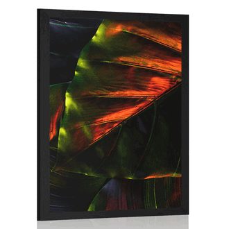 POSTER TROPICAL PALM LEAVES - NATURE - POSTERS