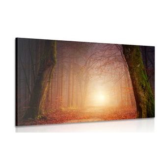 OBRAZ LES V POHÁDKOVÝCH BARVÁCH - OBRAZY PŘÍRODY A KRAJINY - OBRAZY