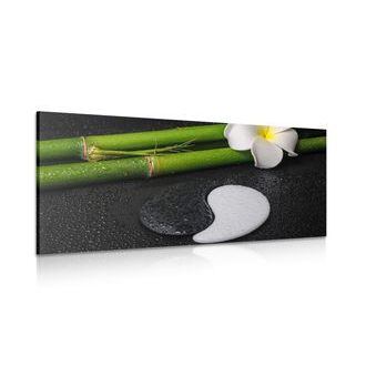 CANVAS PRINT SPA STILL LIFE WITH YIN AND YANG SYMBOL - PICTURES FENG SHUI - PICTURES