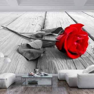 Fototapeta opustená ruža - Abandoned Rose