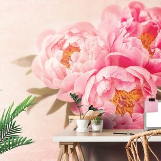 SELF ADHESIVE WALLPAPER GENTLE PEONY - SELF-ADHESIVE WALLPAPERS - WALLPAPERS