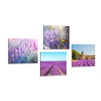 Set of pictures for lavender lovers
