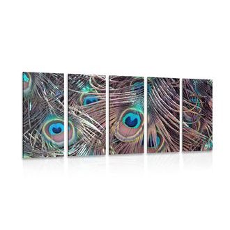 5-DÍLNÝ OBRAZ PAVÍ PEŘÍČKO - OBRAZY ZÁTIŠÍ - OBRAZY