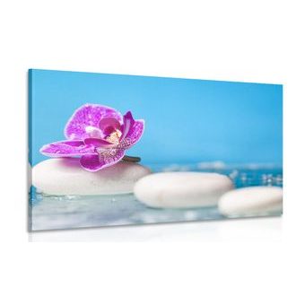 CANVAS PRINT ORCHID AND ZEN STONES - PICTURES FENG SHUI - PICTURES
