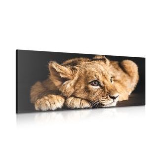 Wandbild Löwenjunge